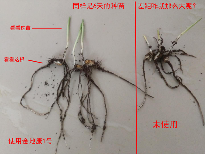 微信图片_20180327220314副本副本.jpg