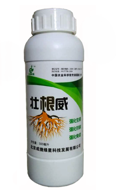 壮根威.png